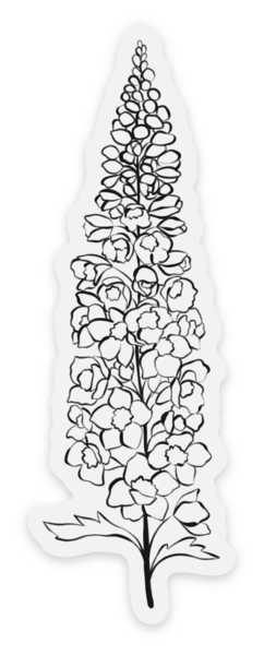 July Birth Month Flower: Larkspur Sticker, 1.2x3.5in.