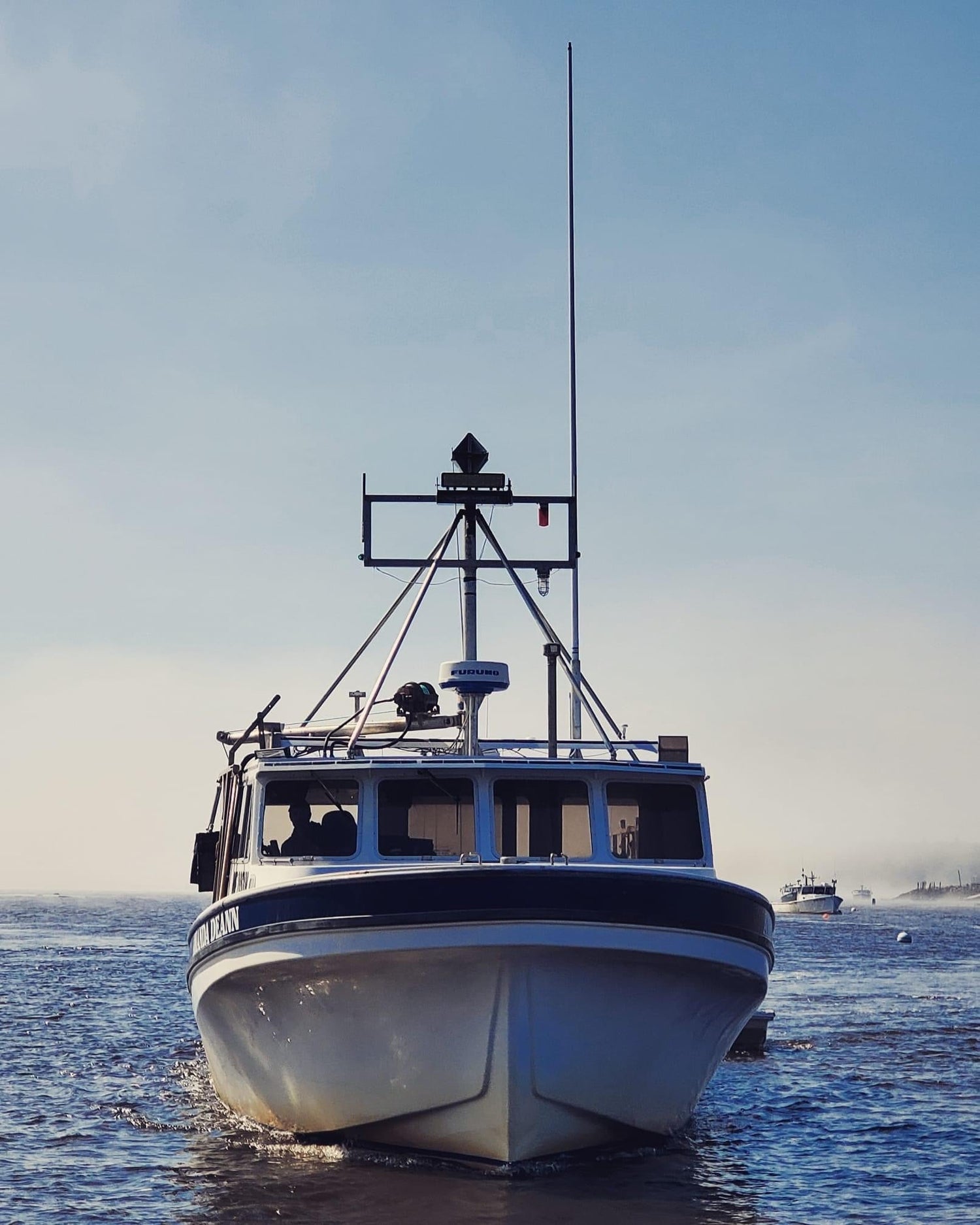 The Maine Collection