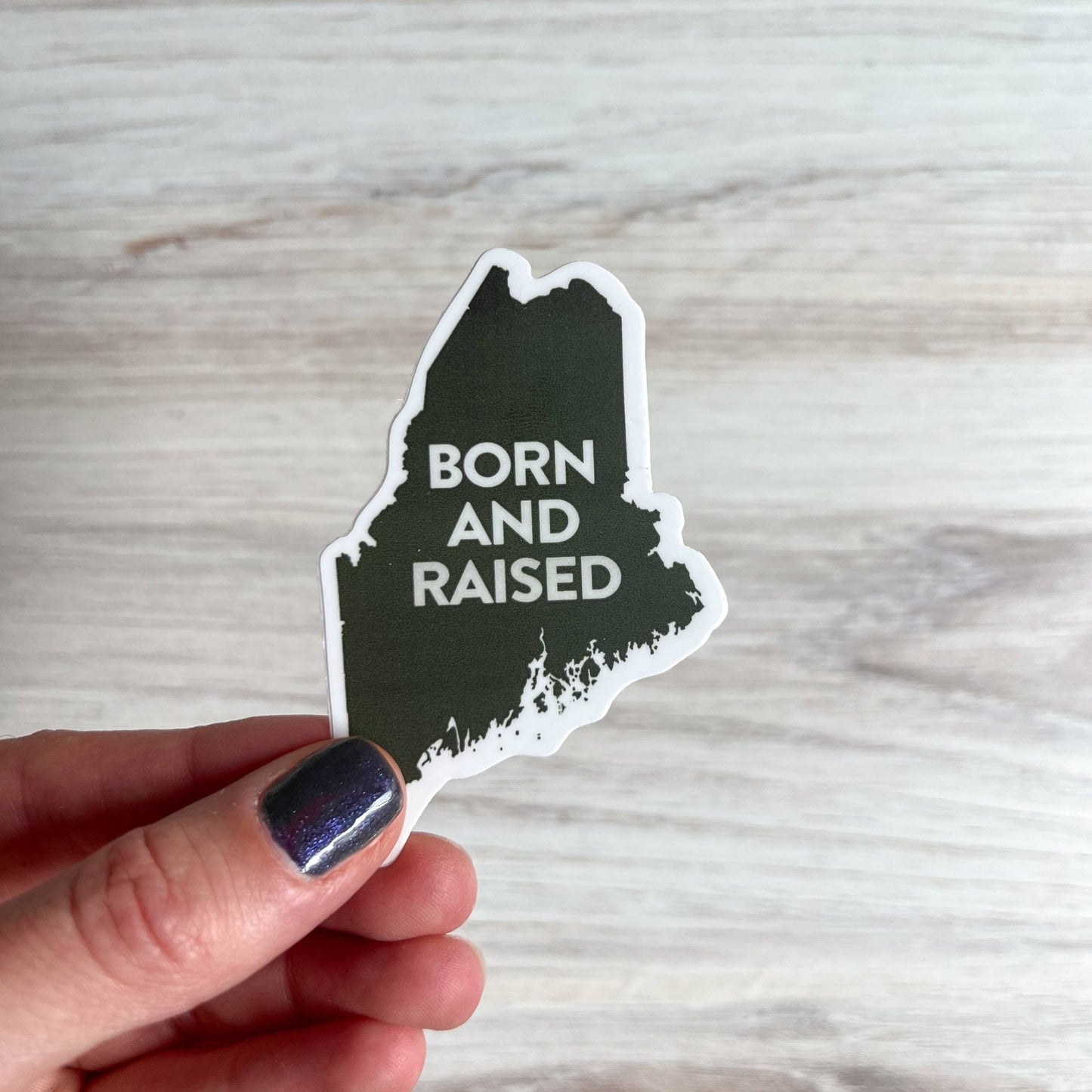 Born and Raised Maine Sticker | Maine Sticker | 2" x 3" - kennedy and co